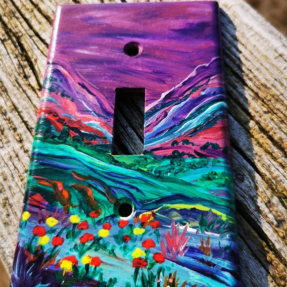 Handpainted Plastic Light Switch Plate - Picture 3 of 12